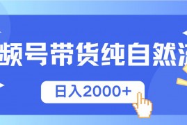 创业项目（13998期）视频号带货，纯自然流，起号简单，爆率高轻松日入2000+01-18中创网