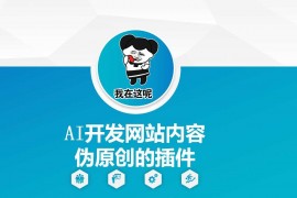 简单项目AI开发网站内容伪原创的插件，从零开始手把手教学01-23冒泡网