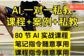 赚钱项目AI指令实战课，课程+案例，80节AI实战课程，笔记指令随意享用，课程指令随意享用02-07冒泡网