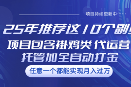 每日25年推荐这10个副业项目包含褂鸡类、代运营托管类、全自动打金类03-15福缘网