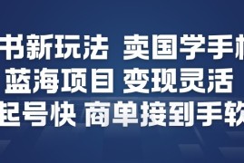 小红书新玩法，卖国学手机贴，蓝海项目，变现灵活，起号快，商单接到手软