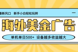 （16454期）最新蓝海项目，海外美金广告，单机单日500+，可矩阵放大，设备越多收益…