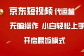 每日京东短视频代运营，全程喂饭，小白轻松上手【揭秘】03-17冒泡网