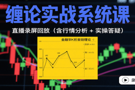 缠论实战系统课：直播录屏回放（含行情分析 + 实操答疑（更新8月）