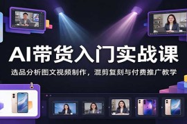 AI带货入门实战课：选品分析图文视频制作，混剪复刻与付费推广教学