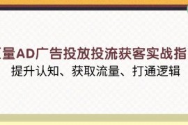 实战（13872期）巨量AD广告投放投流获客实战指南，提升认知、获取流量、打通逻辑12-31中创网