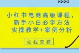 每天小红书电商高级课程，新手小白必学方法，实操教学+案例分析03-04冒泡网