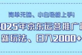 每日（14179期）25年京东运营推广最新玩法，日入2000+，小白轻松上手！02-14中创网