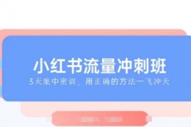 每日小红书流量冲刺班2025，最懂小红书的女人，快速教你2025年入局小红书01-19冒泡网