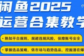 实战2025闲鱼电商运营全集，2025最新咸鱼玩法02-19冒泡网