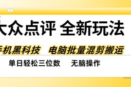大众点评全网最新玩法，黑科技代替人工，全程无脑搬运，单日三位数以上【揭秘】