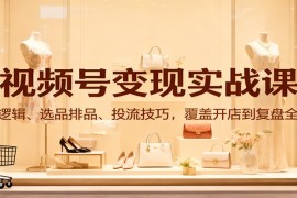 视频号变现实战课：流量逻辑、选品排品、投流技巧，覆盖开店到复盘全流程