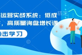 国际站运营实战系统：低成本获客，高质量询盘增长课（更新）
