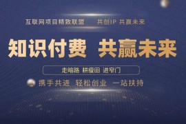 简单项目（13944期）2025年如何通过“知识付费”卖项目月入十万、年入百万，布局2025与&#8230;01-08中创网