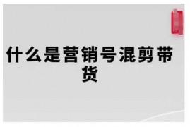 每日营销号混剪带货，从内容创作到流量变现的全流程，教你用营销号形式做混剪带货01-07冒泡网