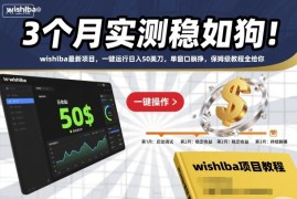 3个月实测稳如狗！wishlba最新项目，一键运行日入50美刀，单窗口躺挣，保姆级教程全给你【揭秘】