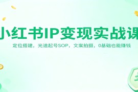 小红书IP变现实战课：定位搭建，光速起号SOP，文案拍摄，0基础也能赚钱