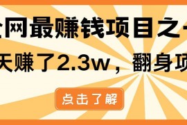 （14723期）暴利项目，每天被动收益1500+，长期管道收益！0成本自己做老板！