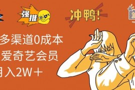 创业项目（14118期）2025多渠道0成本售卖爱奇艺会员月入2W＋02-09中创网