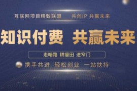 简单项目别人苦寻无果，为何他们靠知识付费卖项目2025年轻松年入100个?【揭秘】02-13冒泡网