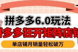 每日拼多多虚拟商品暴利6.0玩法，轻松实现月入过W02-10冒泡网