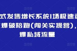 2025最新裂变式发售增长系统1场极速动销裂变爆破陪跑(闯关实操营)，引爆私域流量03-09冒泡网