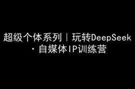 2025最新超级个体系列，玩转DeepSeek·自媒体IP训练营，deepseek教程03-09冒泡网