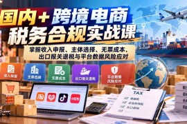（20686期）国内+跨境电商税务合规实战课：掌握收入申报、主体选择、无票成本、出口报关退税与平台数据风险应对