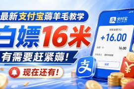 最新支付宝薅羊毛教学，白嫖16米，有需要赶紧薅，现在还有！
