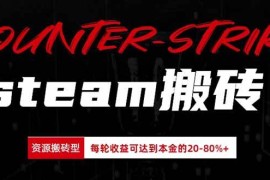 （20275期）Steam搬砖，每轮收益为本金的20-80%，平均每天仅需半小时，新人轻松上手