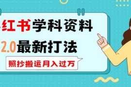 创业项目小红书学科资料2.0最新打法，照抄搬运月入过万，可长期操作01-04冒泡网