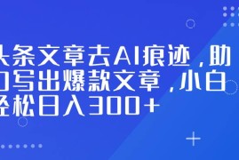 （16859期）头条文章去AI痕迹，助力写出爆款文章，小白轻松日入300+