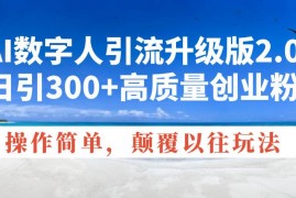 实战（14012期）AI数字人引流升级版2.0，日引300+高质量创业粉，操作简单，颠覆以往玩法01-21中创网