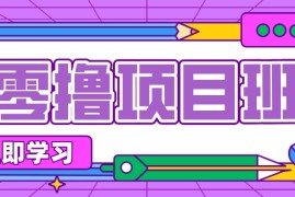 零成本教辅资料变现，普通人照着做就能赚钱的项目，每月多赚几千上万元