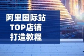 手机创业（14269期）阿里国际站TOP店铺打造教程：涵盖平台到高阶，解决运营难题，提升询盘02-21中创网