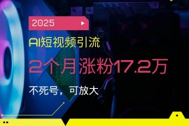 每日（14213期）2025AI短视频引流，2个月涨粉17.2万，不死号，可放大02-17中创网