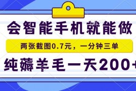 （15209期）2025年零撸手机项目 二十秒一单 纯薅羊毛 一天200+做就有