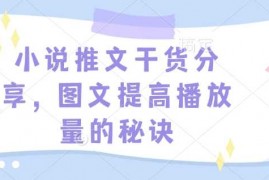 2024最新小说推文干货分享，图文提高播放量的秘诀01-03冒泡网