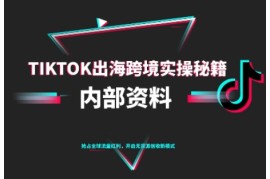 TikTok跨境电商0-1搭建运营，TK出海跨境实操秘籍（10月更新）