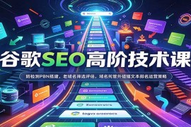 谷歌SEO高阶技术课：防检测PBN搭建，老域名筛选评估，域名托管外链锚文本排名运营策略