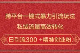 赚钱项目跨平台一键式暴力引流玩法，私域流量高效转化日引流300+精准创业粉02-08冒泡网