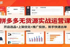 拼多多无货源实战运营课：开店选品+上架优化+推广投放，新手快速出单