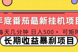 （16742期）2025年最新番茄音乐人挂机项目，每天几分钟，月入1000＋，可矩阵，一台电脑支持多个账号