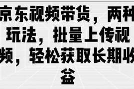 手机创业京东视频带货，两种玩法，批量上传视频，轻松获取长期收益02-21冒泡网