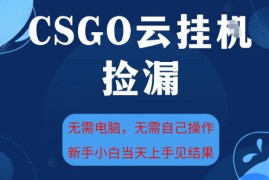 CSGO云挂G全自动捡漏，最新独家玩法，无需电脑操作，新手小白日入5张+【揭秘】