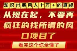 知识付费月入10个W的真相，做网创项目这一个就够了，不要再疯狂的找所谓的风口项目【揭秘】