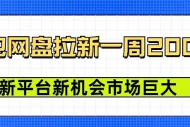 创业项目豆包网盘拉新，一周2k，新平台新机会01-09冒泡网