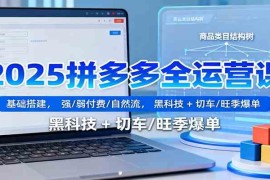 2025拼多多全运营课:基础搭建,强/弱付费/自然流,黑科技 + 切车/旺季爆单