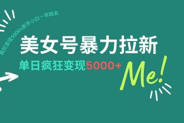 创业项目（14322期）美女号暴力拉新，用过AI优化一件生成，每天搬砖，疯狂变现5000+新手小&#8230;02-25中创网