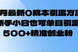 2025最新2月最新0成本引流方法，新手小白也可单日引流500+精准创业粉02-10冒泡网